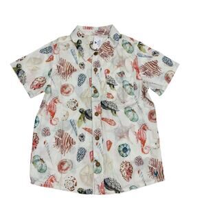 NWT Blue Rooster Size 12/18M Boys Jack Shirt in Watercolor Seashells